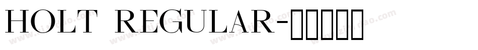 HOLT Regular字体转换